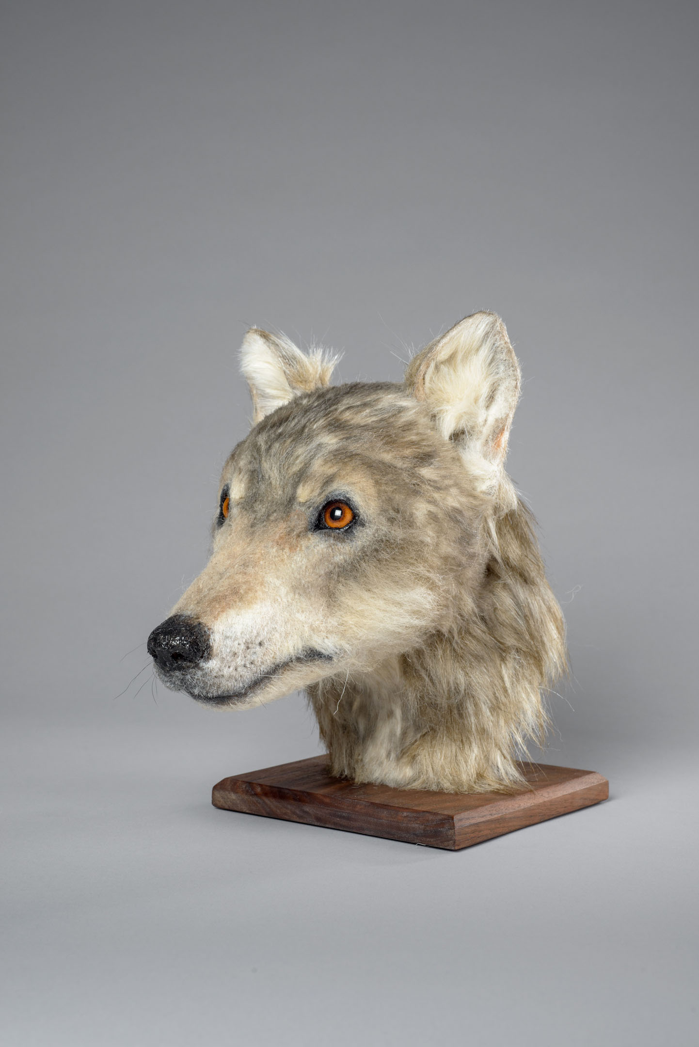 Sculpted white and grey model of a dog's head on a wooden stand.