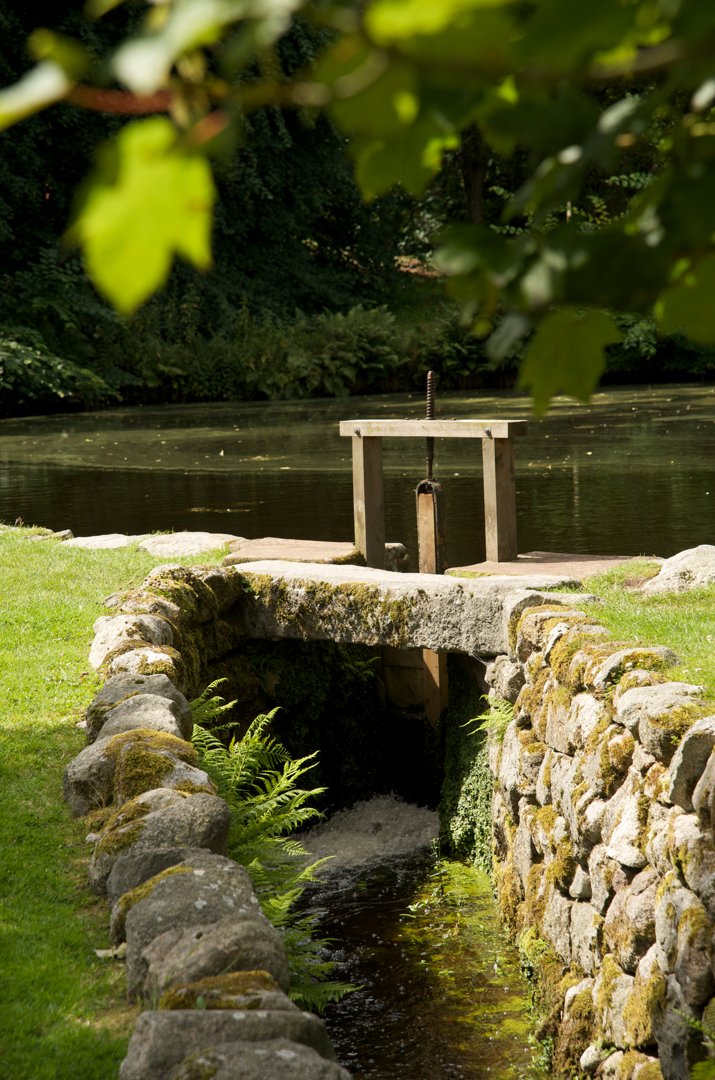 A calm pond bordered by greenery, with a small wooden sluice gate above a mossy stone-lined channel leading from the water.