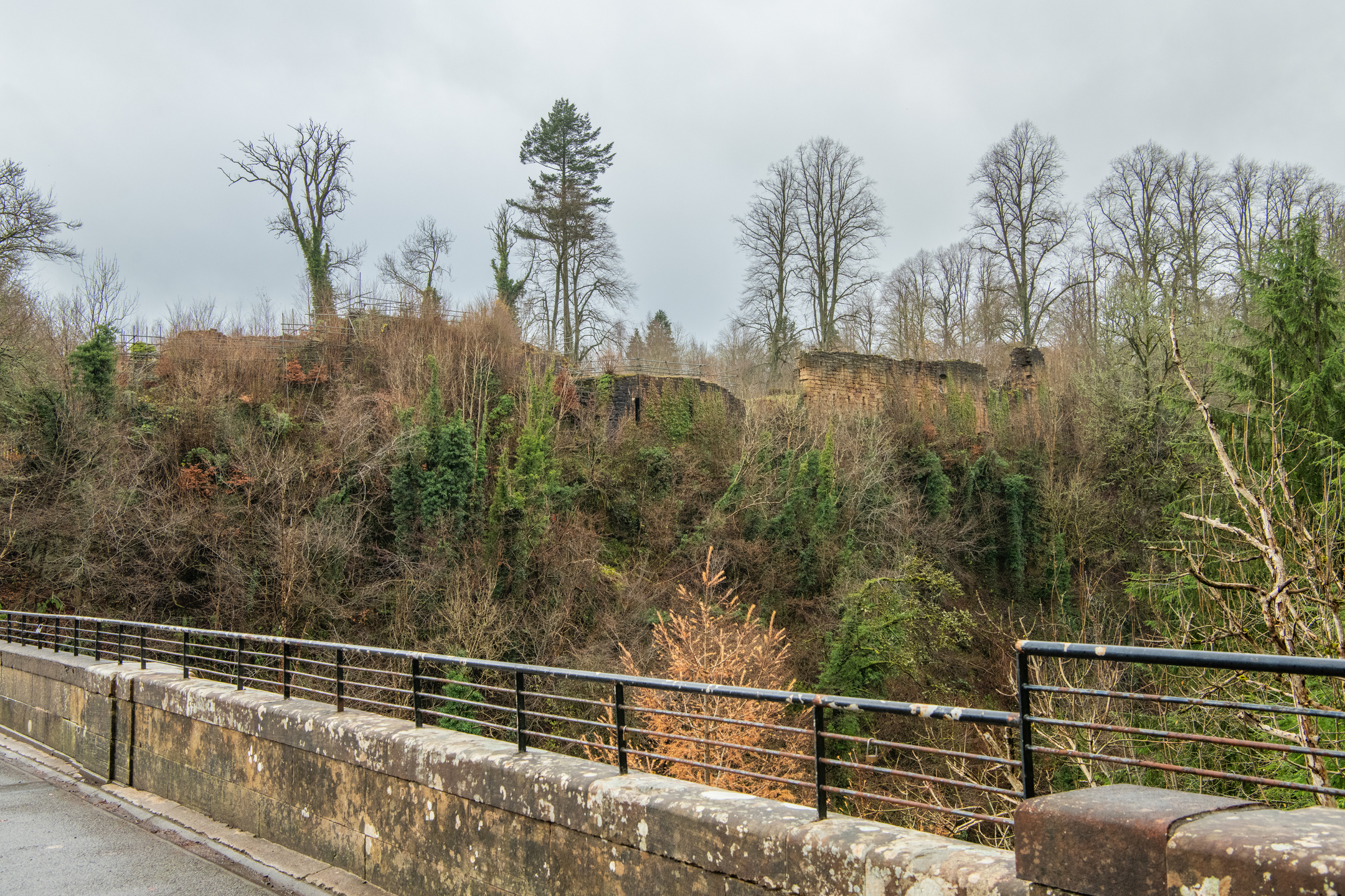 A view of wintry woodland over the railings of a stone bridge. The ruins of a castle wall are just about visible amongst the trees.