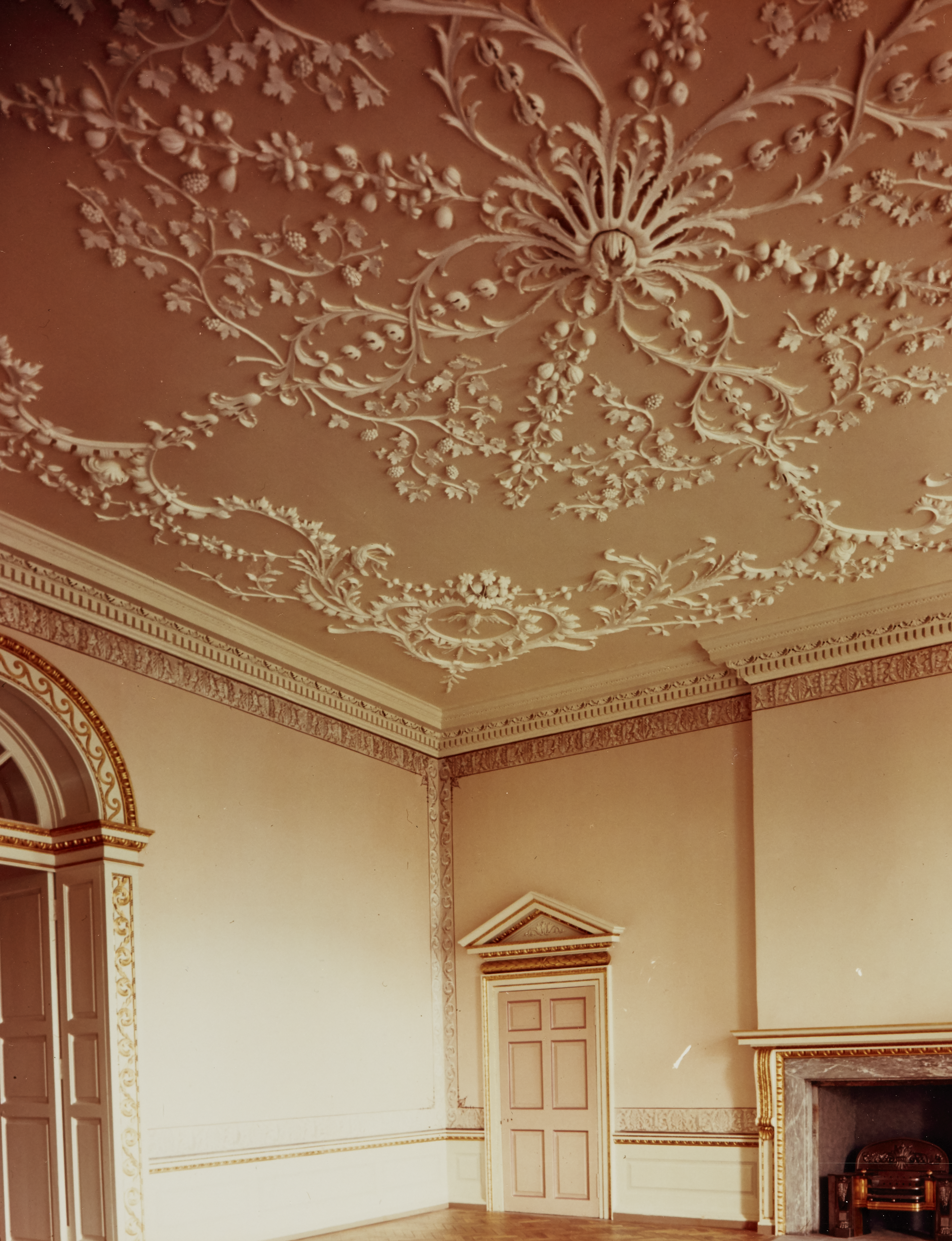 A room with a very decorative ceiling with leaves and branches emerging from a central focal point