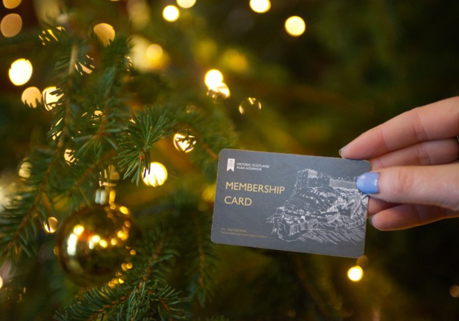 A hand with blue varnished nails holding a Historic Scotland Membership card in front of a lit Christmas tree 