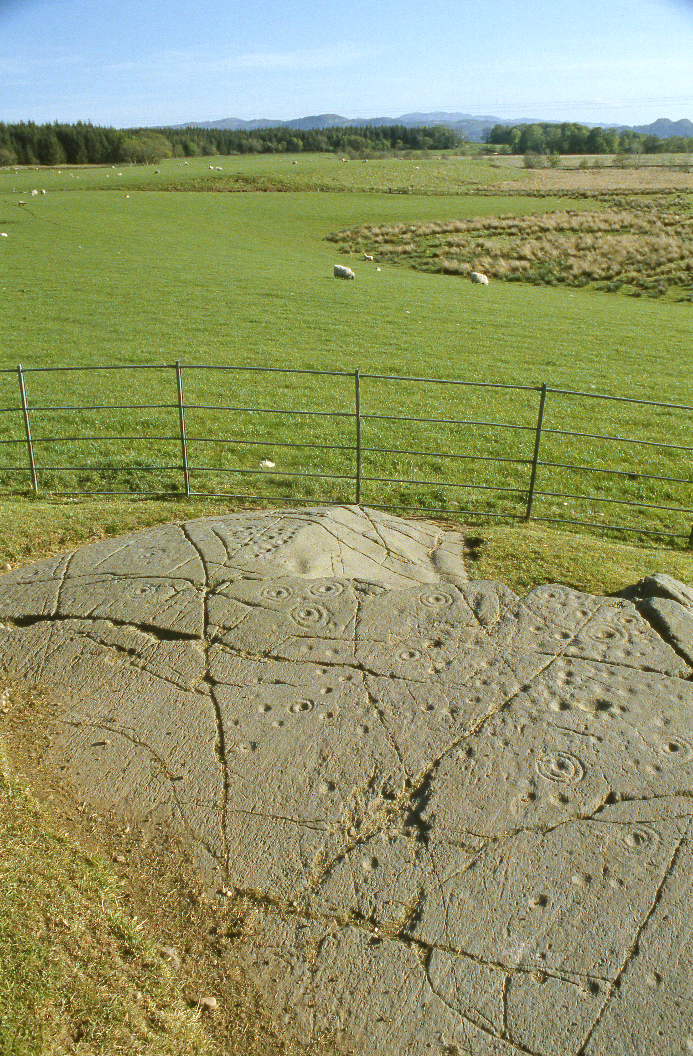 View of the carved rock surface covered in multiple cup‑and‑ring motifs and intersecting grooves, with a metal fence and open green farmland stretching into the distance.