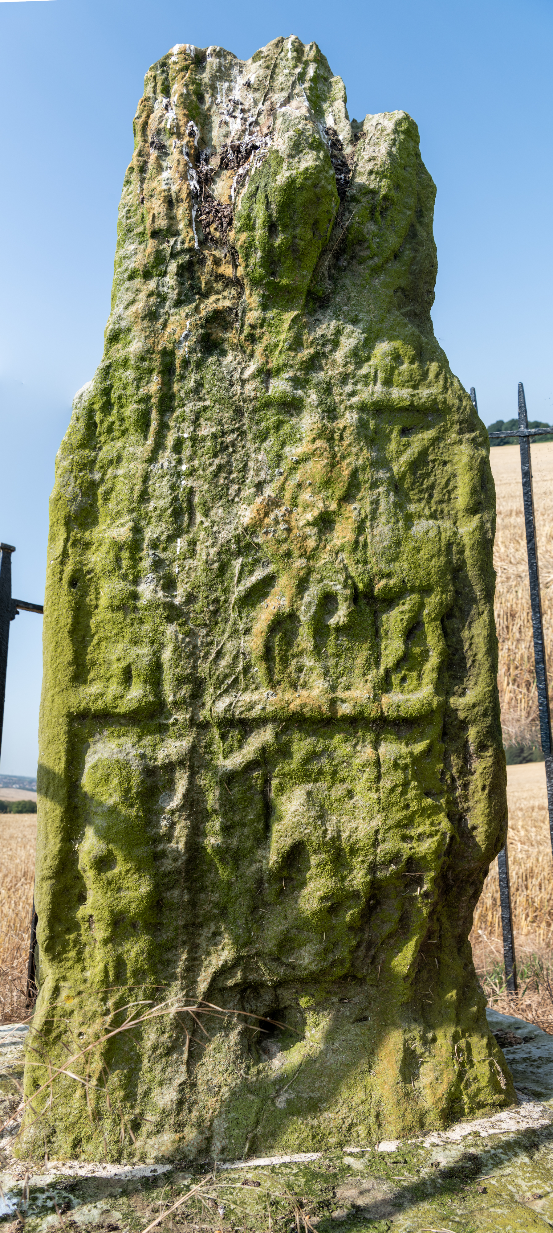 A close frontal view of the Dogton Stone, covered in thick green moss, showing weathered and partially eroded carved patterns. The rough top of the stone is broken and irregular, with the surrounding field visible behind.