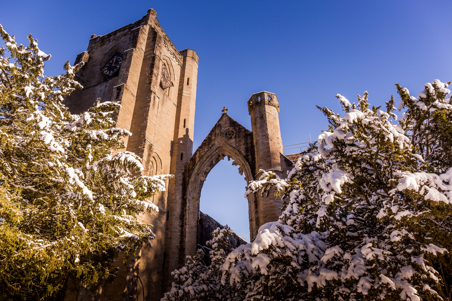 Snow‑covered trees frame the front towers and large arched window of a stone cathedral under a clear blue sky.