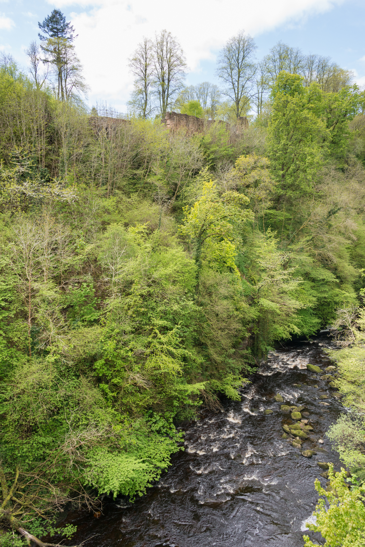A river running through a steep. verdant gorge. The ruins of a castle are hidden in the greenery.