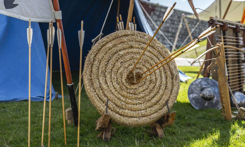Arrows in a target with arrows to the left stuck in the grass