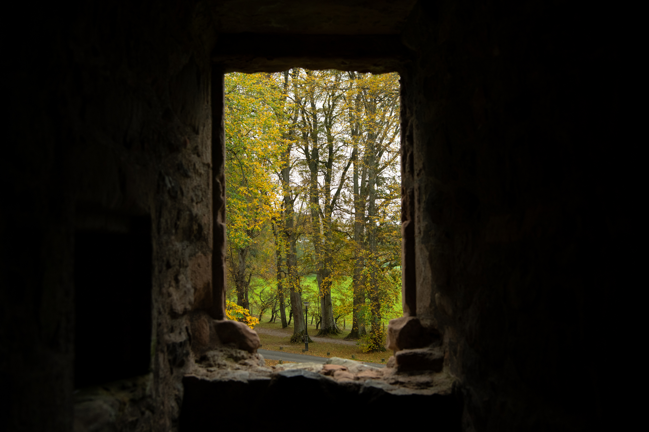 Looking out a rectangular hole from a dark building towards trees