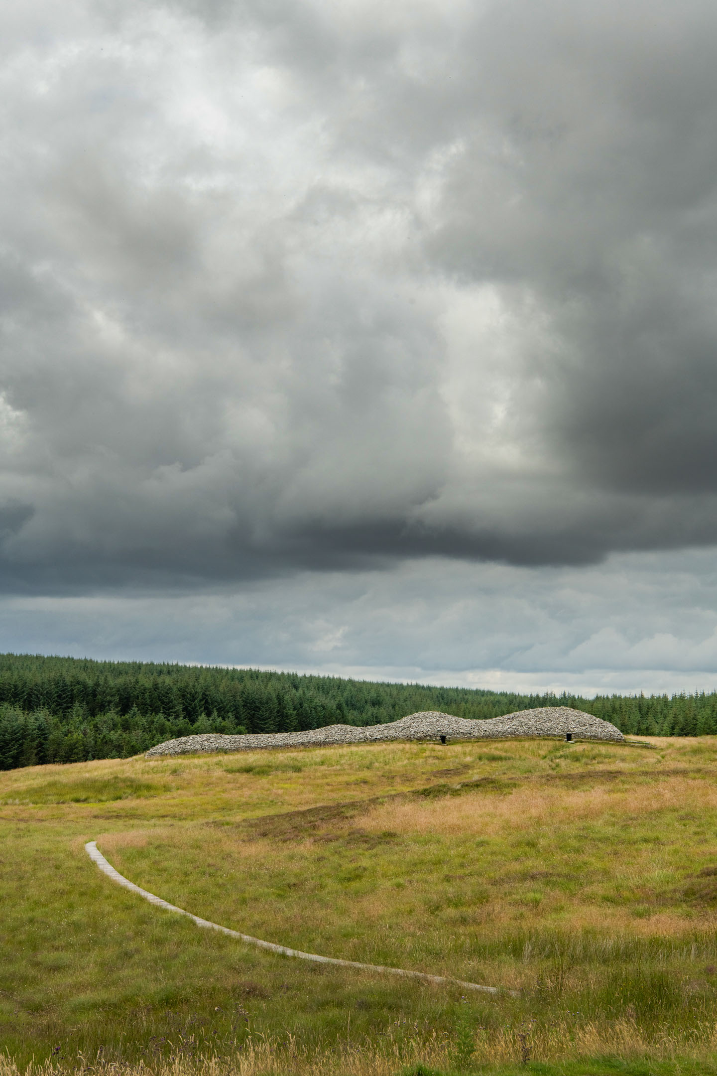 Long stone cairn on grassy moor with forest backdrop under dramatic cloudy sky.